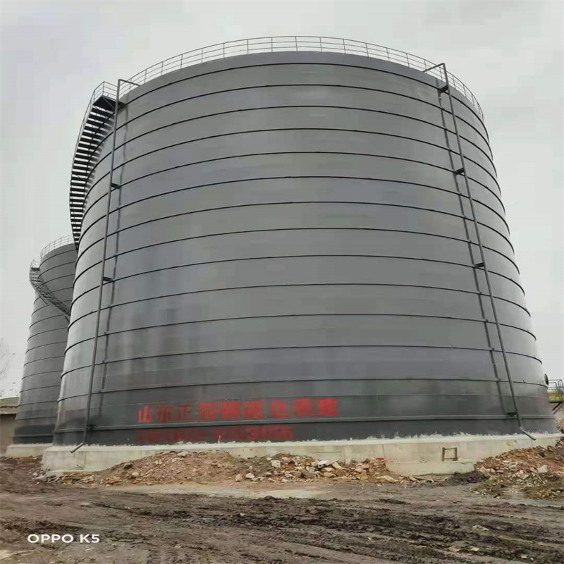 勐腊3万吨大型钢板库